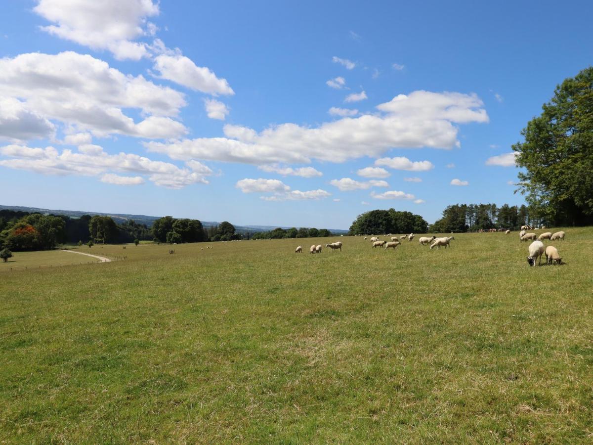 Swandown, 20 Poldon Βίλα Chard Εξωτερικό φωτογραφία